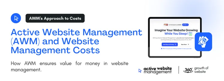 how AWM ensures value for money in website management