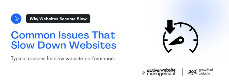 Typical reasons for slow website performance