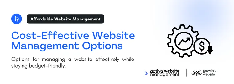 Options for managing a website effectively while staying budget-friendly