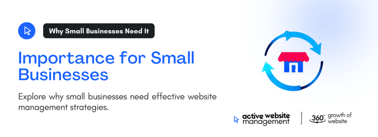 Why Small Businesses Need Website Management