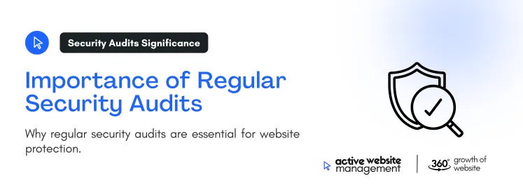 Why regular security audits and essential for website protection