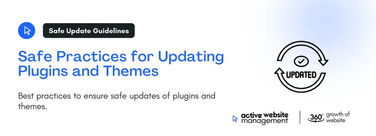 Best practices to ensure safe updates of plugins and themes