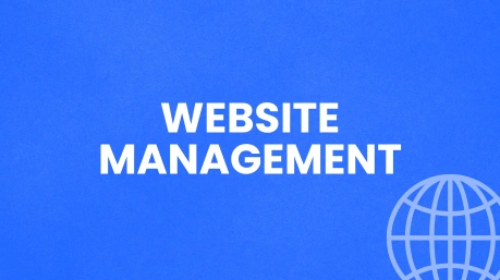 Website Management Articles