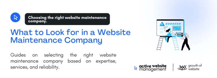 What to Look for in a Website Maintenance Company