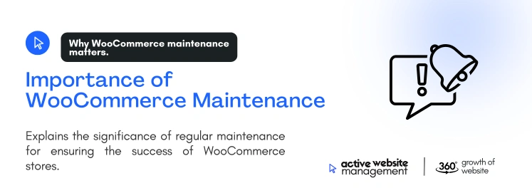 Importance of WooCommerce Maintenance