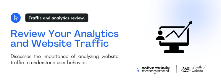 Review Your Analytics and Website Traffic