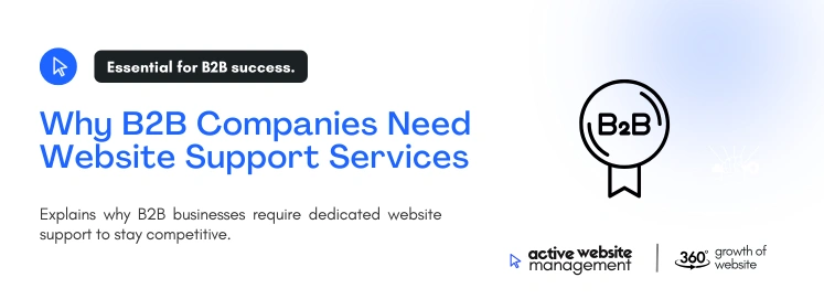 Why B2B Companies Need Website Support Services