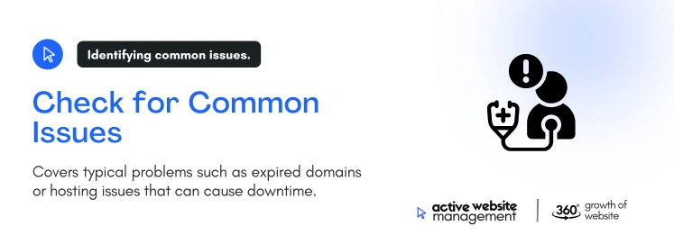 check for common issues on What to Do When Your Website Goes Offline