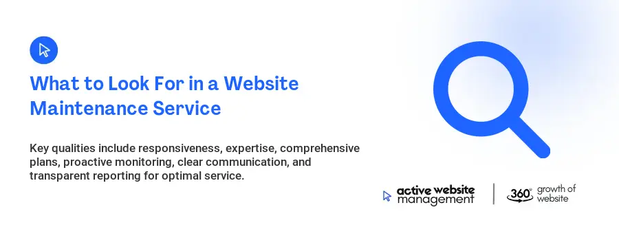 What to Look For in a Website Maintenance Service