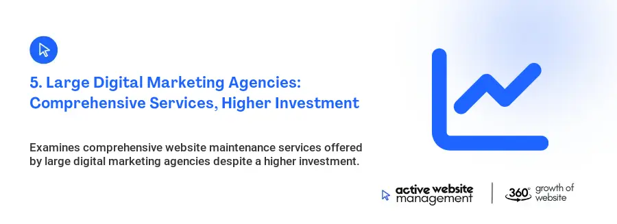 5. Large Digital Marketing Agencies: Comprehensive Services, Higher Investment