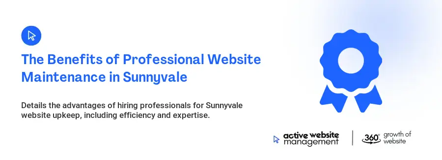The Benefits of Professional Website Maintenance in Sunnyvale The Benefits of Professional Website Maintenance in Sunnyvale