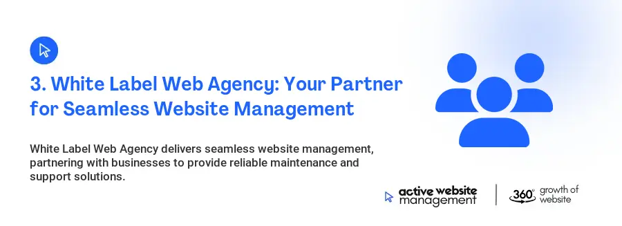 3. White Label Web Agency: Your Partner for Seamless Website Management