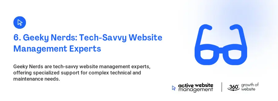 6. Geeky Nerds: Tech-Savvy Website Management Experts