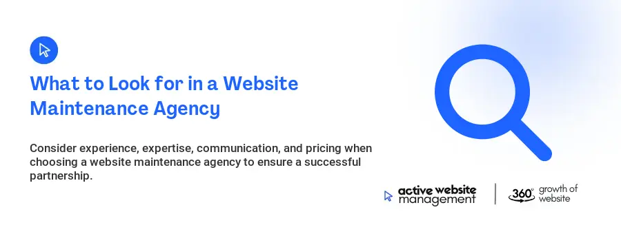What to Look for in a Website Maintenance Agency