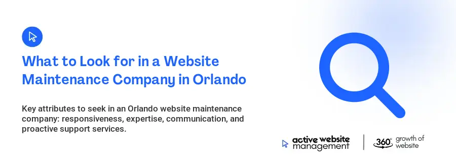 What to Look for in a Website Maintenance Company in Orlando