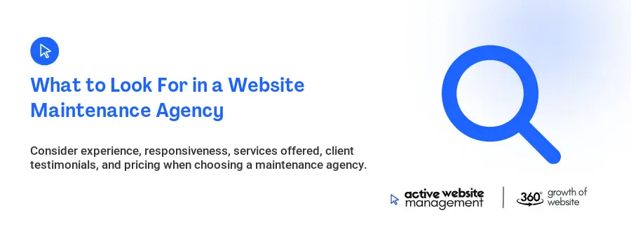 What to Look For in a Website Maintenance Agency