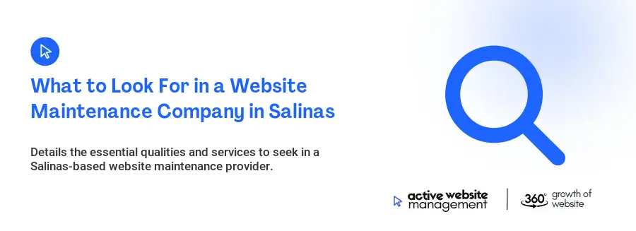 What to Look For in a Website Maintenance Company in Salinas