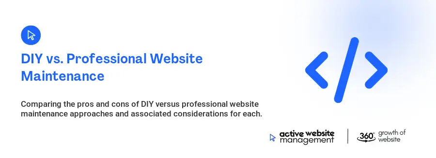 DIY vs. Professional Website Maintenance