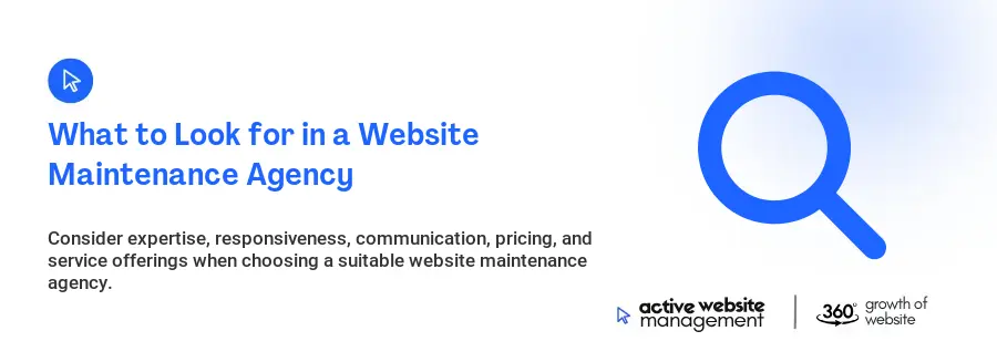 What to Look for in a Website Maintenance Agency
