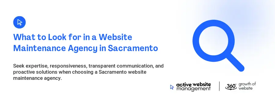 What to Look for in a Website Maintenance Agency in Sacramento