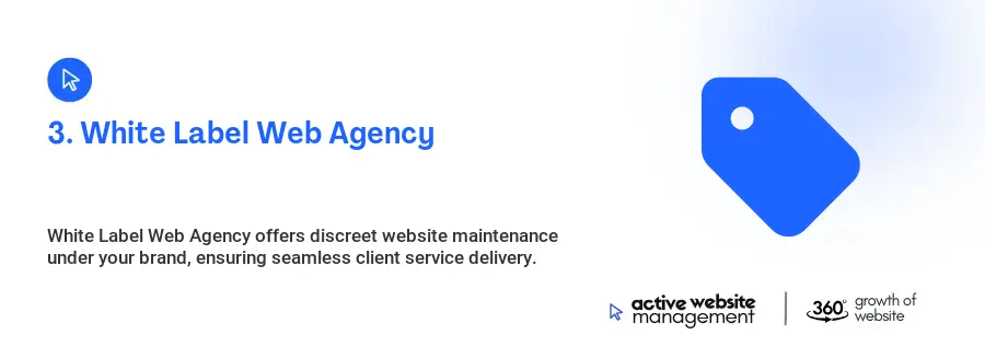3. White Label Web Agency
