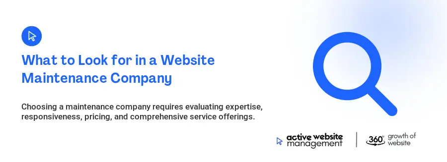 What to Look for in a Website Maintenance Company