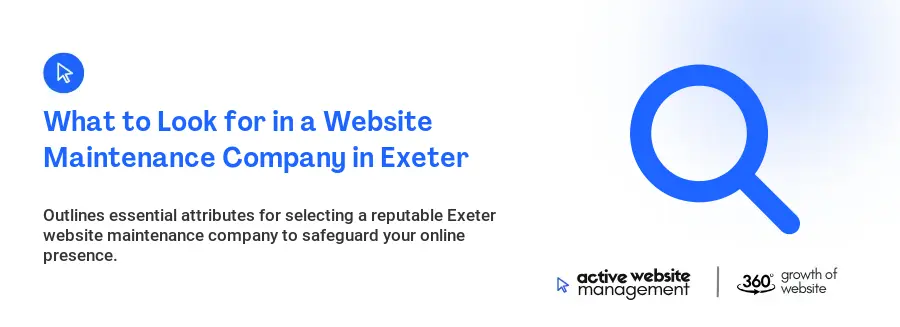 What to Look for in a Website Maintenance Company in Exeter