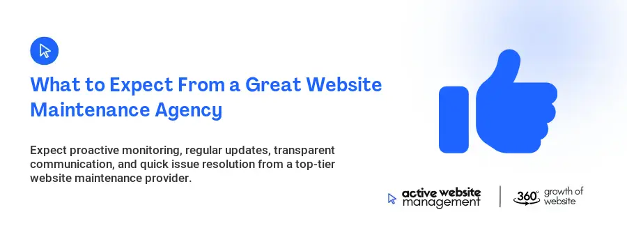 What to Expect From a Great Website Maintenance Agency
