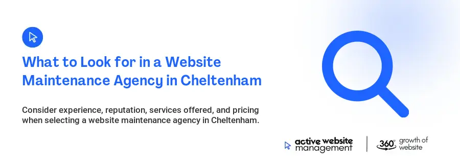 What to Look for in a Website Maintenance Agency in Cheltenham