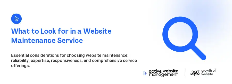 What to Look for in a Website Maintenance Service