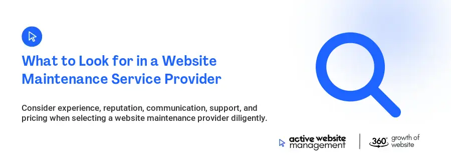 What to Look for in a Website Maintenance Service Provider