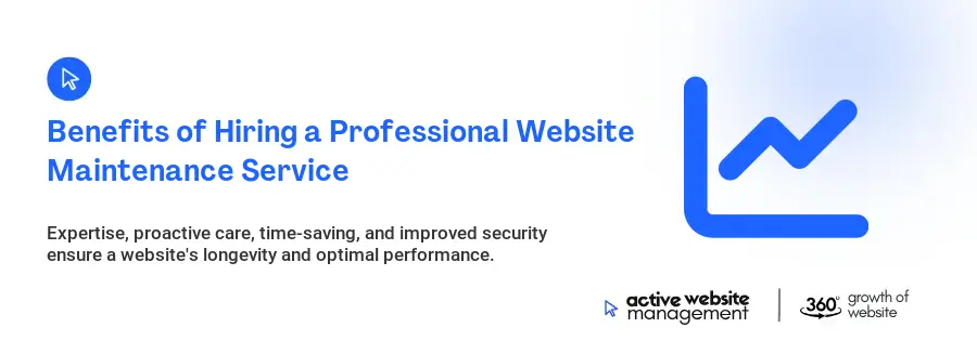 Benefits of Hiring a Professional Website Maintenance Service