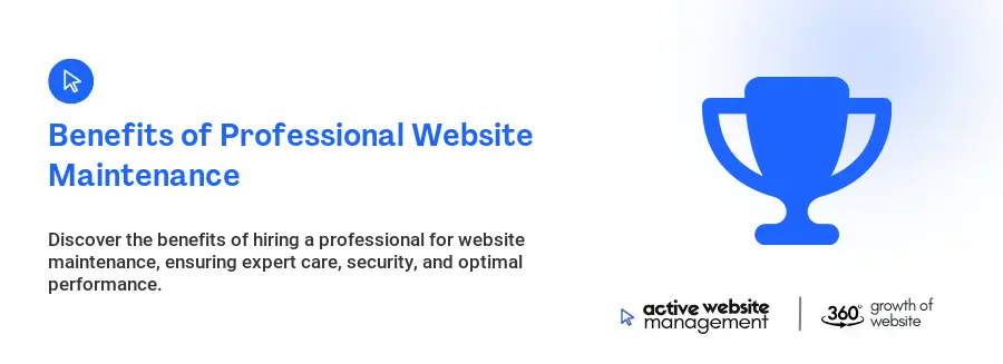 Benefits of Professional Website Maintenance