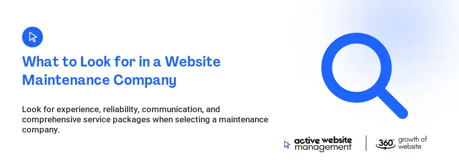 What to Look for in a Website Maintenance Company