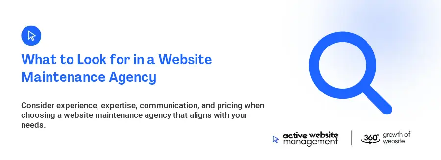 What to Look for in a Website Maintenance Agency