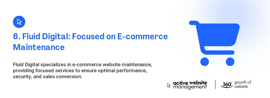 6. Fluid Digital: Focused on E-commerce Maintenance