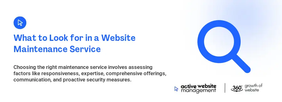 What to Look for in a Website Maintenance Service